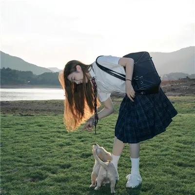 仙女座报告